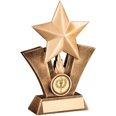 Generic Star Resin Award
