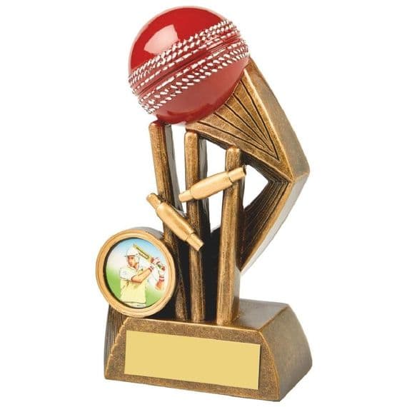 Heavyweight Gold Cricket Award | TrophyMaster UK