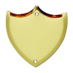 Record Shield with Engraving | TrophyMaster UK