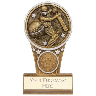 Ikon Tower Cricket Batsman Award