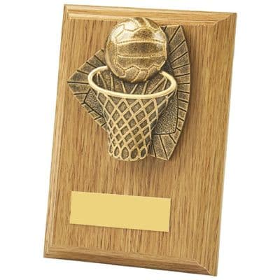 Light Oak Netball Wood Plaque Award