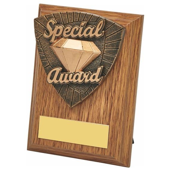 Light Oak Special Award Wood Plaque Award 100mm (4