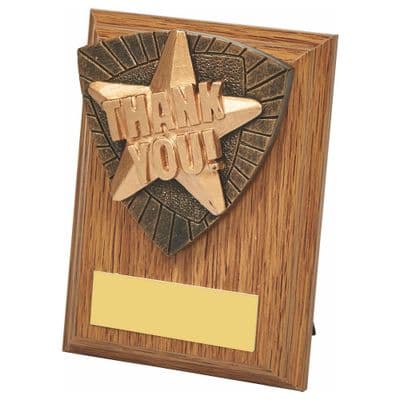 Light Oak Thank You Star Award Wood Plaque Award 100mm