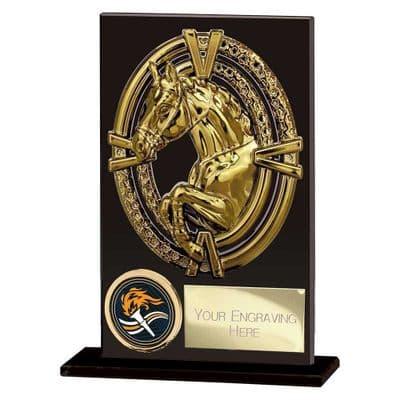 Maverick Hero Equestrian Glass Award