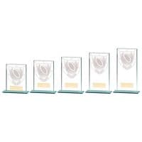 Millennium Rugby Large Jade Glass Award | TrophyMaster UK