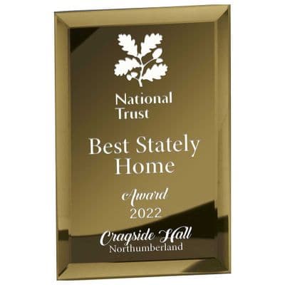 Mirage Gold Mirrored Glass Plaque - 5mm Thick