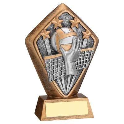 Paragon Volleyball Award 133mm