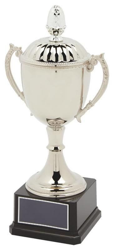 Pioneer Nickel Presentation Cup with Lid | TrophyMaster UK