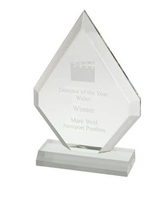 Plain Clear Diamond Acrylic Award 203mm