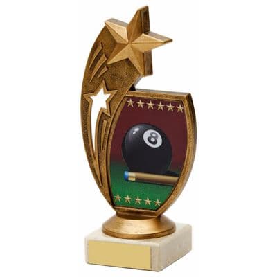 Pool Shooting Star Award