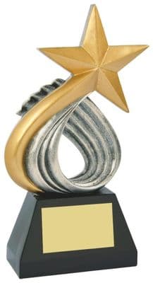 Resin Star Sculpture 250mm