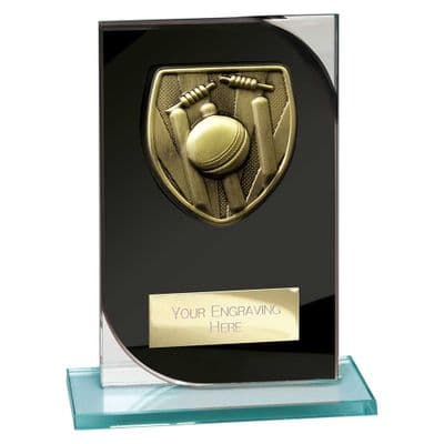 Seismic Cobra Cricket Black & Silver Glass Award