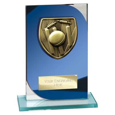 Seismic Cobra Cricket Blue & Silver Glass Award