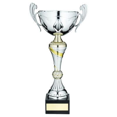 Silver/Gold Adorned Trophy Cup with Handles
