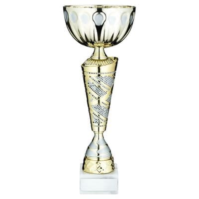 Silver/Gold Textured Trophy Cup