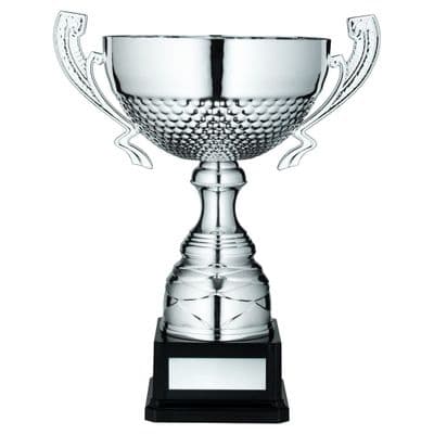Silver Half Bowl Cup with Handles