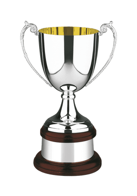 Silver Plated 328 Gold Inside Prestige Cup