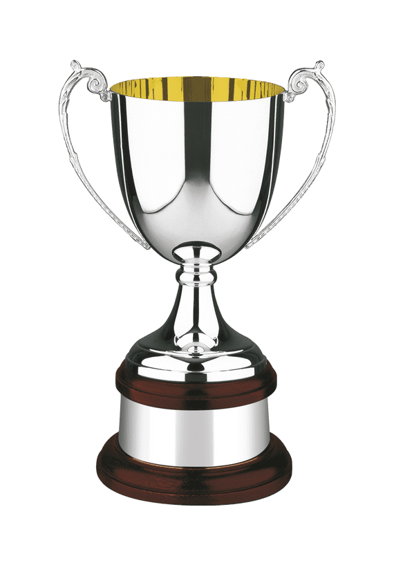 Silver Plated 328 Gold Inside Prestige Cup 241mm (9.5