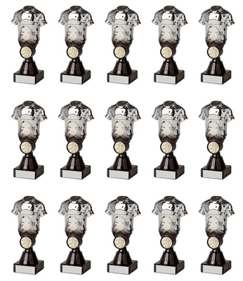 Silver Two-Tone Shirt Squad Pack 165mm - 15 Pieces