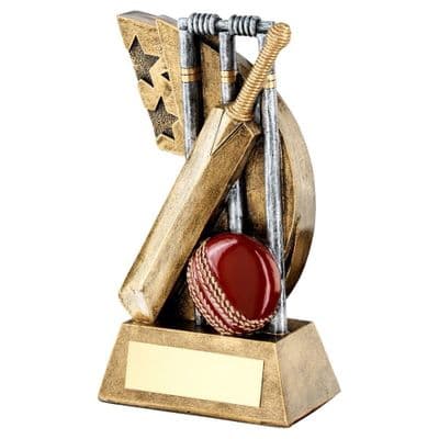 Star Swoosh Cricket  Award