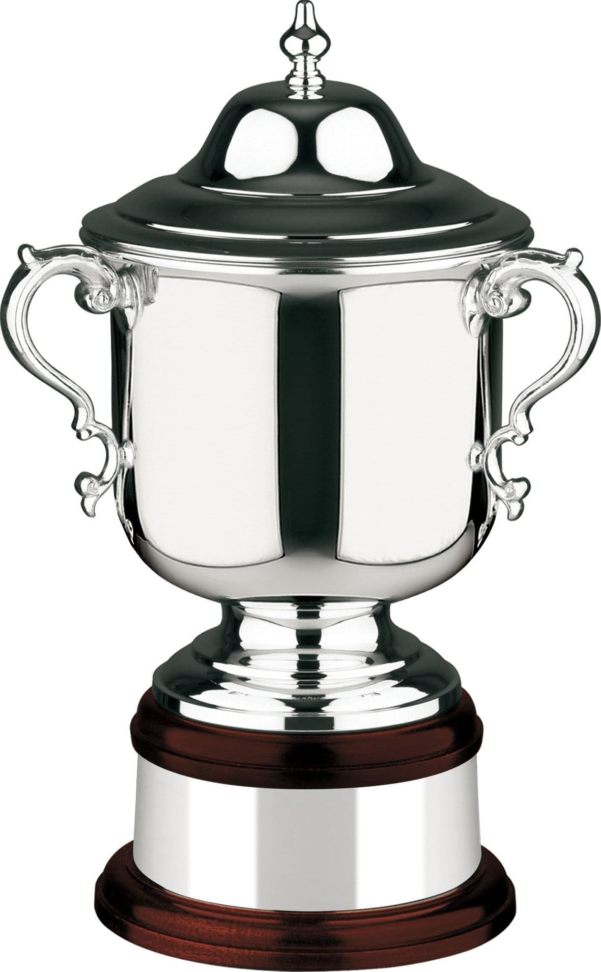 The League Champions Cup 273mm (10.75