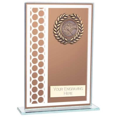 Titanium Glass Award Bronze