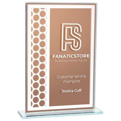 Titanium Mirrored Glass Award