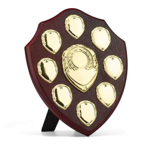 Triumph Multi Presentation Gold Shield 254mm (10