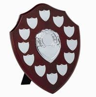 Triumph Multi Presentation Silver Shield 255mm (10