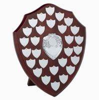 Triumph Multi Presentation Silver Shield 255mm (10