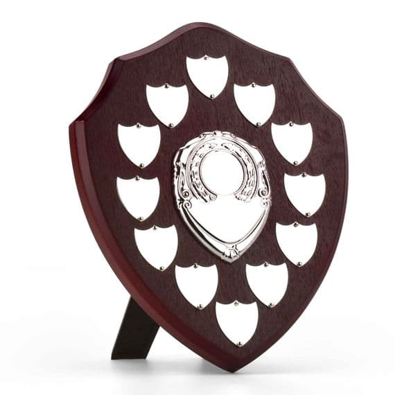 Triumph Multi Presentation Silver Shield 255mm (10