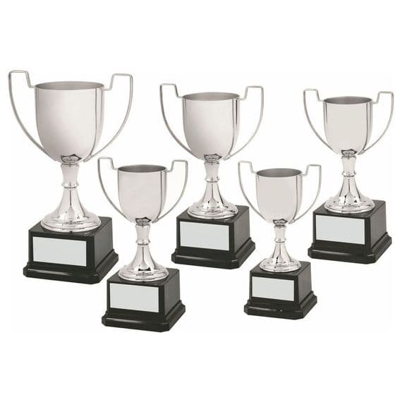 Winchester II Presentation Cup | TrophyMaster UK