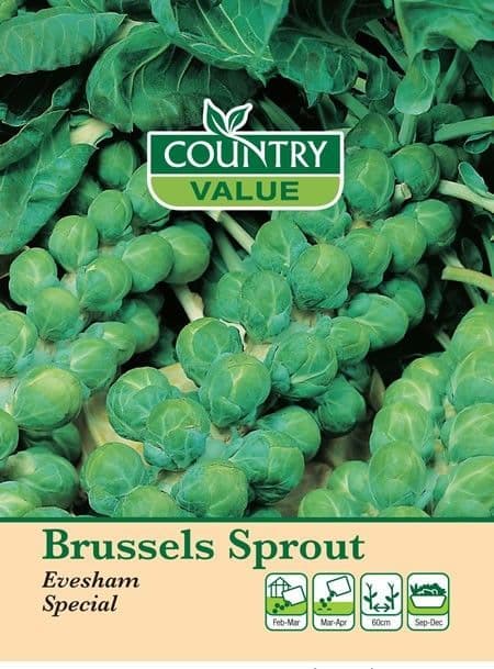 Country Value Brussels Sprout Evesham Special Seeds
