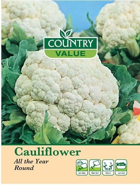 Country Value Cauliflower (All the Year Around)