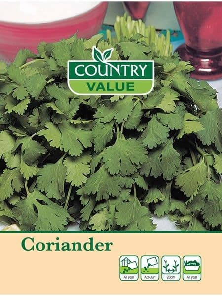Country Value Coriander Seeds