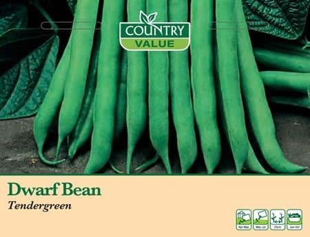 Country Value Dwarf Bean Tendergreen Seeds