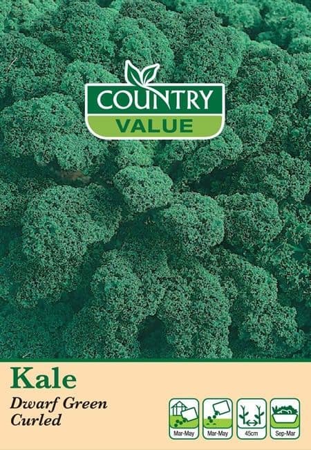 Country Value Kale Dwarf Green Curled Seeds