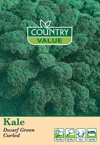Country Value Kale Dwarf Green Curled Seeds