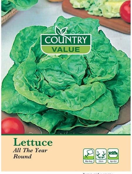 Country Value Lettuce All The Year Round Seeds