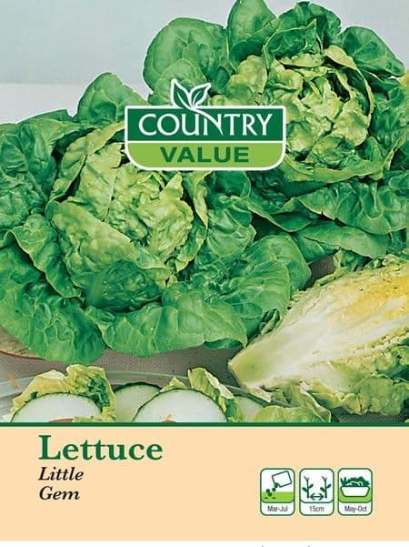 Country Value Lettuce Little Gem Seeds