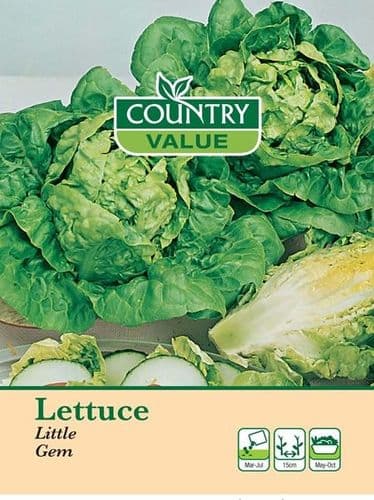 Country Value Lettuce Little Gem Seeds