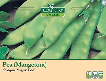 Country Value Pea (Mangetout) Oregon Sugar Pod Seeds