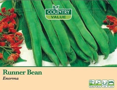 Country Value Runner Bean Enorma Seeds