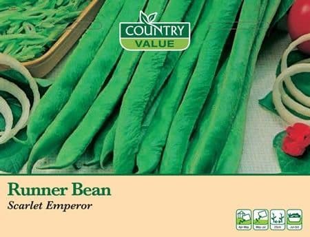 Country Value Runner Bean Scarlet Emperor Seeds