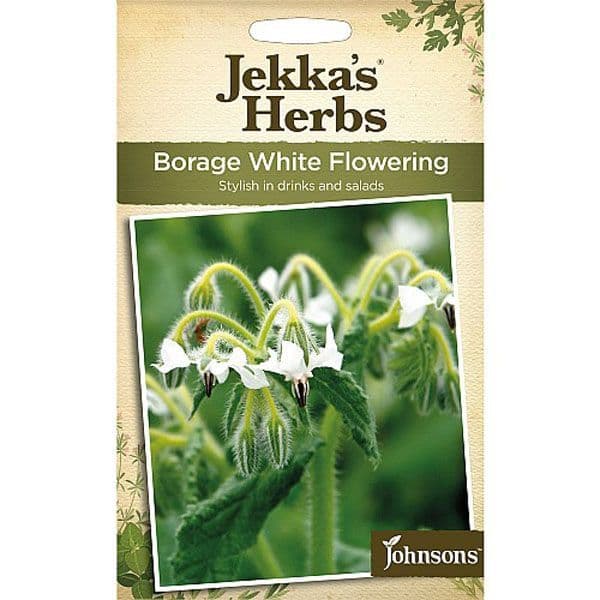 Jekka's Herbs Borage White Flowering