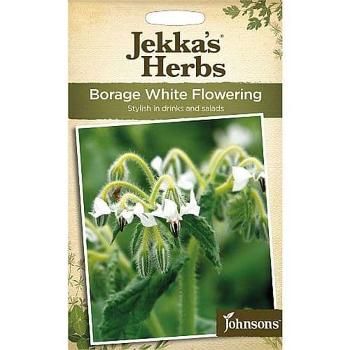 Jekka's Herbs Borage White Flowering