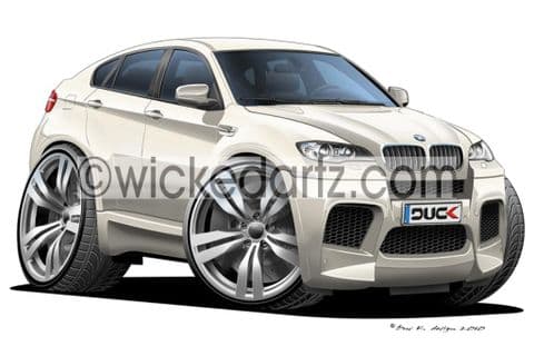 BMW X6 White DK (Items from £9.50)