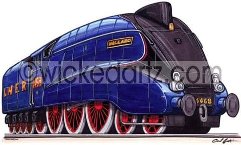 Mallard Train (Items from £9.50)