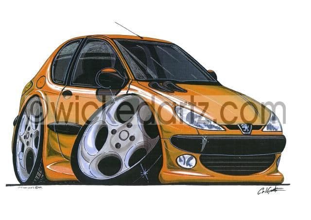 Peugeot 206 Orange (Items from £9.50)