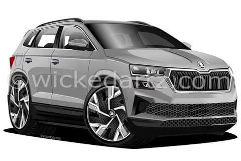 Skoda Karog SUV 2022+ Silver (Items from £9.50)